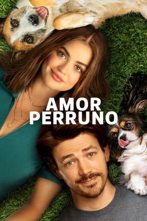 Poster Amor perruno 2023