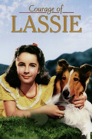 Poster Korkusuz Lassie 1946