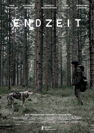 Poster Endzeit 2013