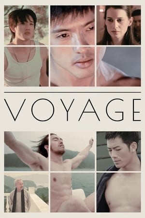 Poster Voyage 2013