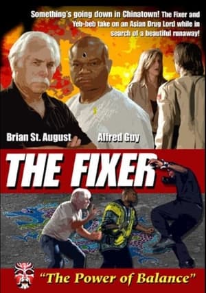 Poster The Fixer 2011