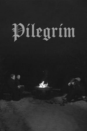 Image Pilgrim