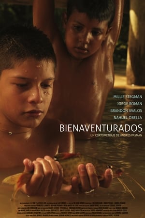 Poster Bienaventurados 2012