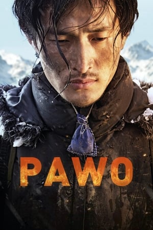 Poster Pawo 2016