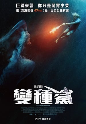Poster 大浪白鲨 2021