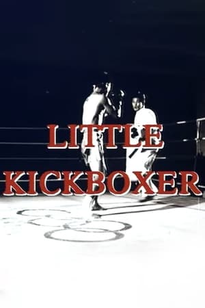Image Little Kickboxer