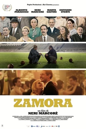 Poster Zamora 2024
