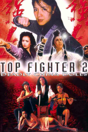 Poster Top Fighter 2 1996