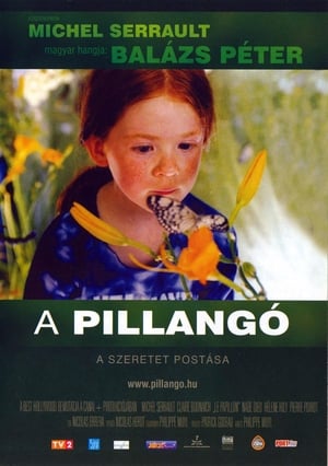 Poster A pillangó 2002