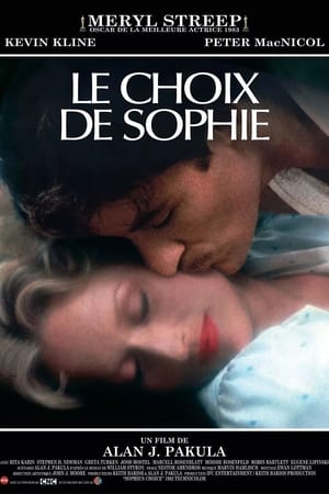 Poster Le choix de Sophie 1982