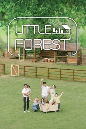 Poster Little Forest 2019