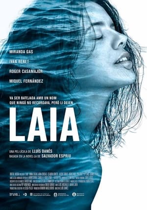 Poster Laia 2016