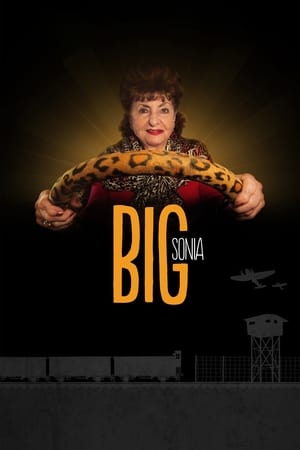 Poster Big Sonia 2017