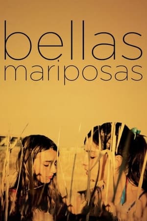 Poster Bellas Mariposas 2012