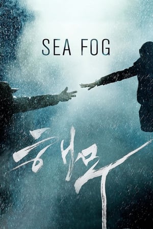 Image Sea Fog