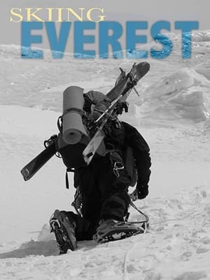 Poster Skiing Everest 2009
