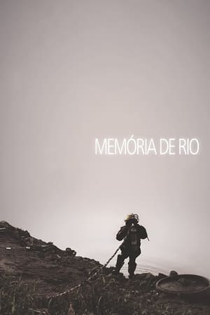 Poster Memória de rio 2013