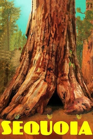 Poster Sequoia 2014
