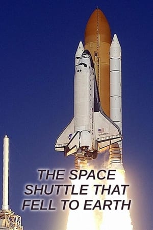 Image The Space Shuttle That Fell to Earth