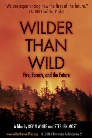 Poster Wilder than Wild: Fire, Forests, and the Future 2018