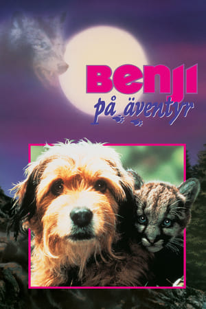 Poster Benji på äventyr 1987
