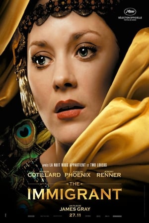 Poster The Immigrant 2013
