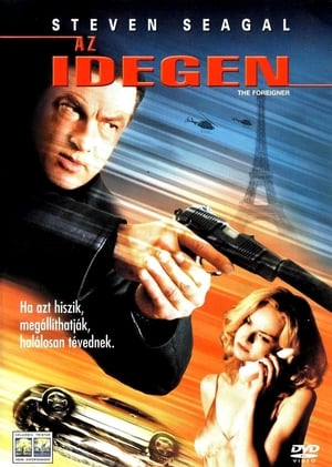 Poster Az idegen 2003