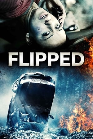 Poster Flipped 2015