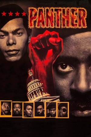 Poster Panther 1995