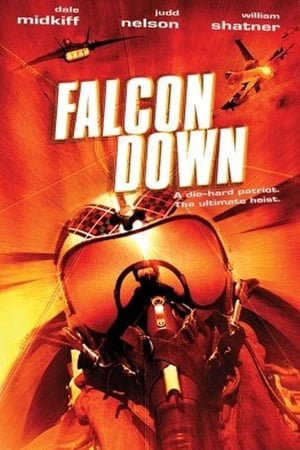Poster Falcon Down 2001
