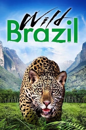 Poster Wild Brazil 2014