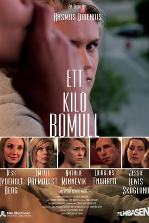Poster Ett kilo bomull 2013