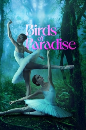 Poster Birds of Paradise 2021