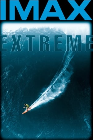 Poster Extreme 1999