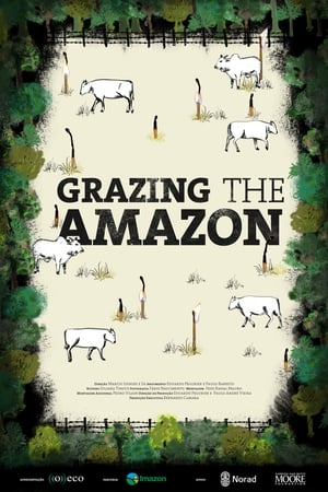 Image Grazing the Amazon