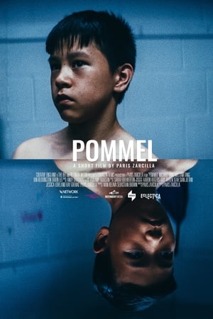 Poster Pommel 2018