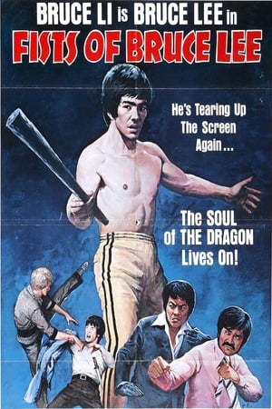 Poster Fists Of Bruce Lee 1979