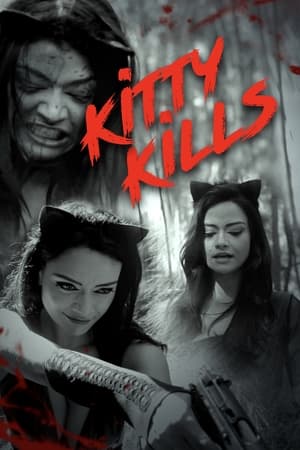 Poster Pussy Kills 2017