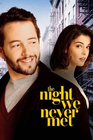 Poster The Night We Never Met 1993