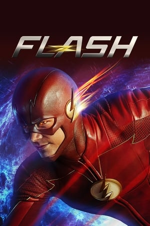 Poster Flash 2014