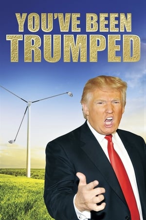 Poster You've Been Trumped 2012