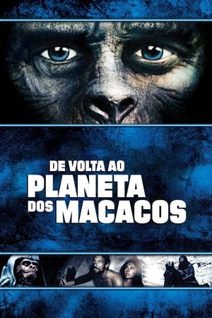 Poster O Segredo do Planeta dos Macacos 1970