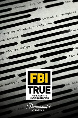 Image FBI - Agenti řeší případy