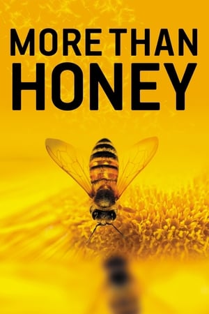 Poster More Than Honey 2012