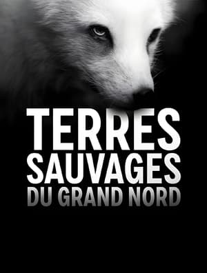 Image Terres sauvages du Grand Nord
