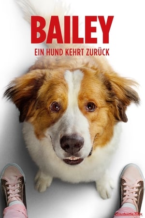 Poster Bailey - Ein Hund kehrt zurück 2019