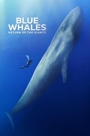 Poster Blue Whales: Return of the Giants 2023