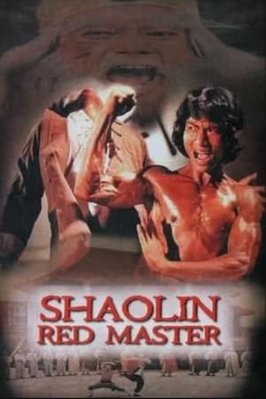 Image Shaolin Tough Kid