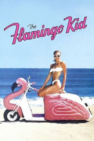 Image The Flamingo Kid