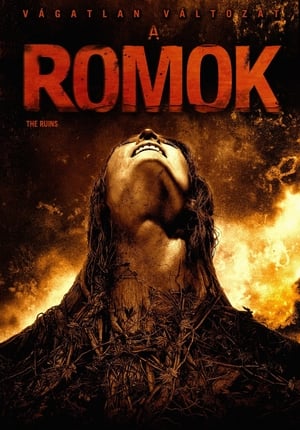 Poster A romok 2008